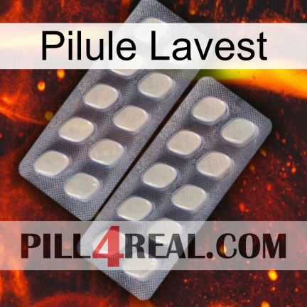 Lavest Pill 07